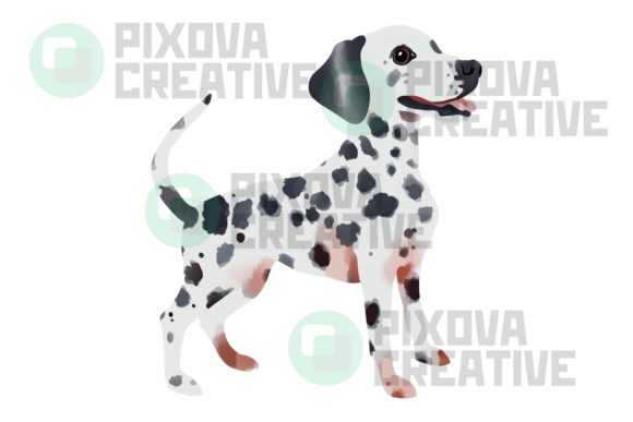 Dalmatian Watercolor Graphic PNG for Creative Design