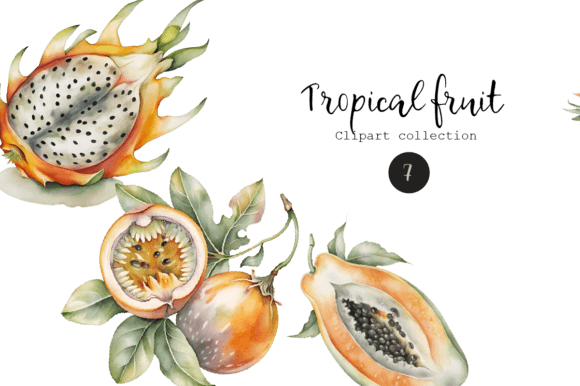 Tropical Fruit Watercolor Clipart Set