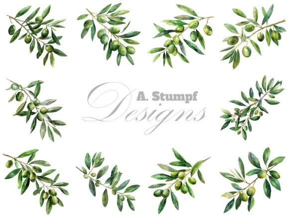 Watercolor Olive Branch Art for Modern Design