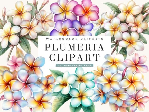 Watercolor Plumeria Clipart Bundle for Design Projects