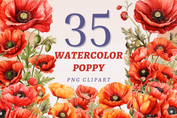 Watercolor Poppy PNG Bundle for Modern Design Projects