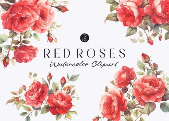 Watercolor Red Roses Clipart: A Design Staple with Timeless Appeal