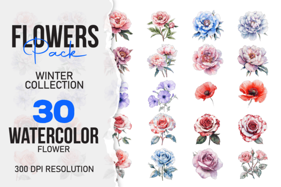 Watercolor Winter Flower 30 Pack PNG